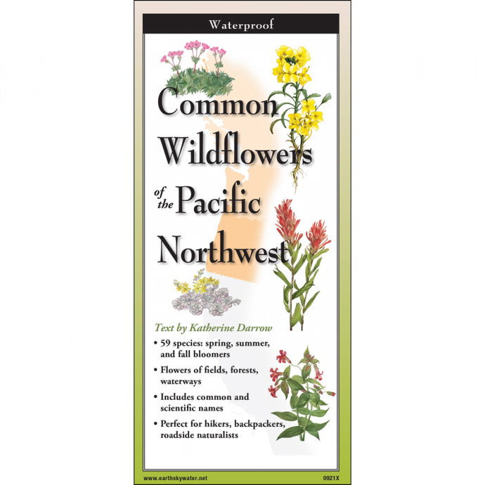 Common Wildflowers of the Pacific Northwest