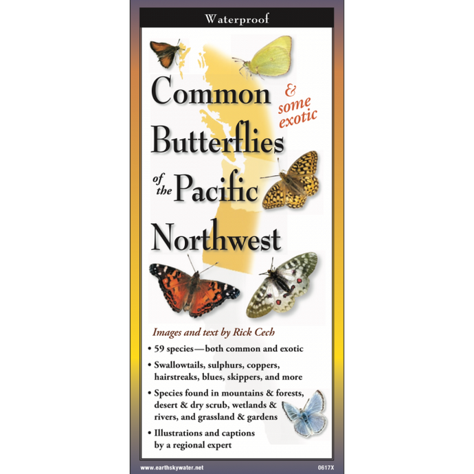 Butterflies of the Pacific Northwest