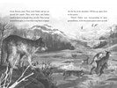 A Wolf Called Wander by Parry