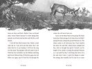 A Wolf Called Wander by Parry