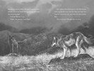 A Wolf Called Wander by Parry