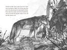 A Wolf Called Wander by Parry