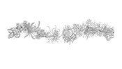 Lost Ocean Coloring Book