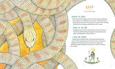 Legendary Creatures by Auerbach