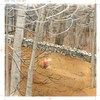 Toot and Puddle Let It Snow by Hobbie