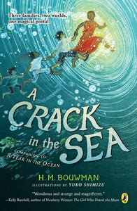A Crack In The Sea By Bouwman