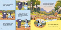 Bluey Camping