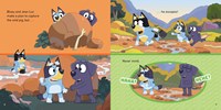 Bluey Camping