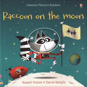 Raccoon on the Moon by Punter