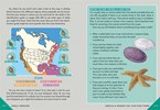 Outdoor School Rock, Fossil, and Shell Hunting Interactive Guide