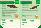 Outdoor School Animal Watching Interactive Guide