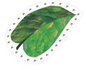 The Very Hungry Caterpillar Lacing Cards