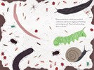 Up in the Garden and Down in the Dirt by Messner