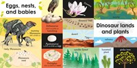100 First Dinosaur Words Board Book