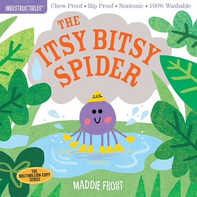 Itsy bitsy Spider Indestructible by Frost