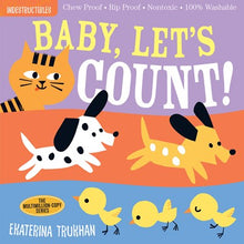 Indestructible Baby Let’s Count by Trukhan