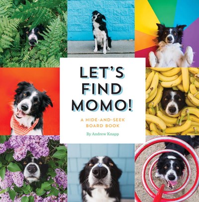 Let's Find Momo! A Hide-and-Seek Board Book by Knapp