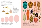 Chickenology: The Ultimate Encyclopedia by Sandri