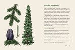 Northwest Know-How: Trees by Brewer