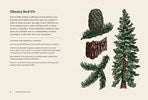 Northwest Know-How: Trees by Brewer