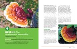 How to Forage for Mushrooms Without Dying by Hyman