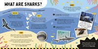 Sharks Fun Facts