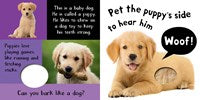 My First Touch and Feel Sound Book: Noisy Baby Animals