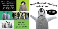 My First Touch and Feel Sound Book: Noisy Baby Animals