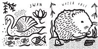 Color Me: Who's In The Pond Bath Book
