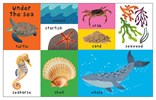 First 100 Nature Words