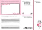 My Year of Writing by Rooney