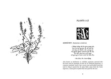 Folk Magic and Healing : An Unusual History of Everyday Plants by Inkwright