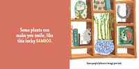 My First Book of House Plants