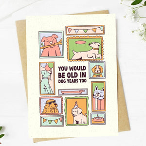 "You would be old in dog years too" birthday card