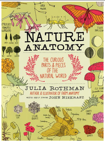 Nature Anatomy by Rothman