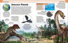 Extraordinary Dinosaurs and Other Prehistoric Life: Visual Encyclopedia