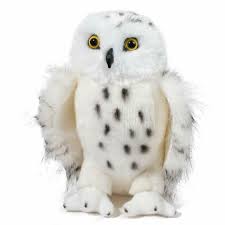 Legend Snowy Owl