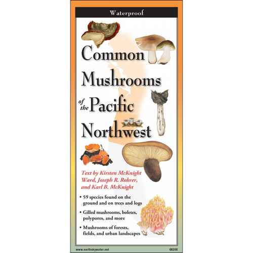 Common Mushrooms of the Pacific Northwest