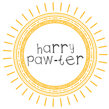 Maggie Mae's Monthly: Harry Paw-ter 3 Month Subscription