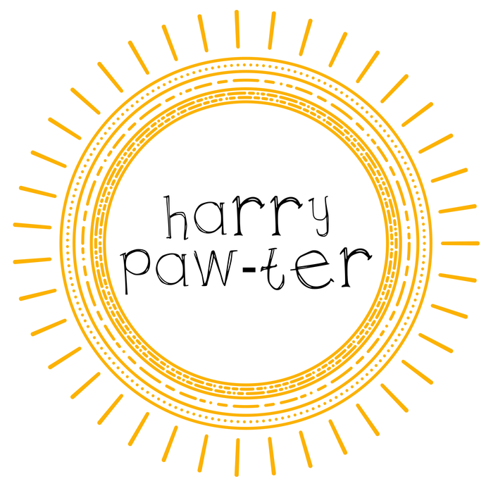 Maggie Mae's Monthly: Harry Paw-ter 6 Month Subscription