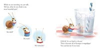 Escargot by Slater