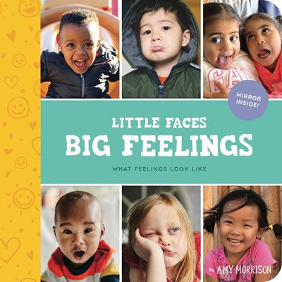 Little Faces Big Feelings by Morrison