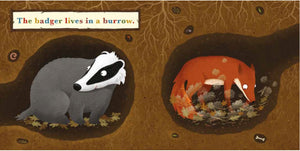 A Year in the Forest Badger by Pietka