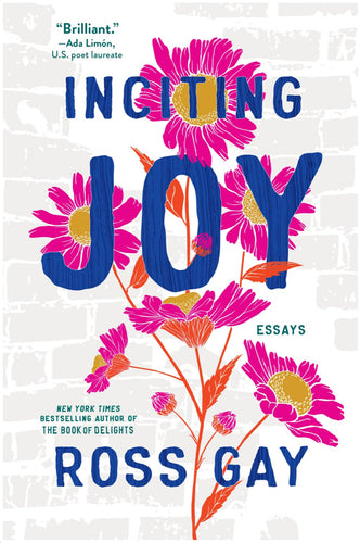 Inciting Joy: Essays by Gay